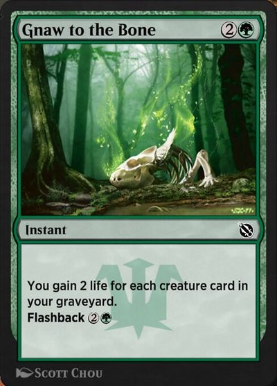 Gnaw to the Bone - Shadows of the Past