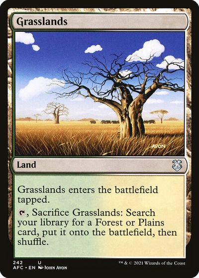Grasslands - Forgotten Realms Commander