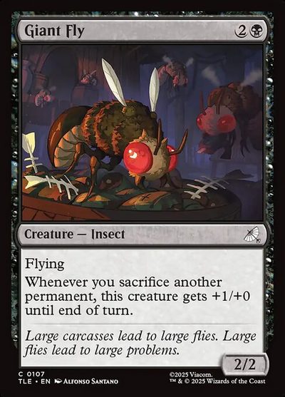 Giant Fly - Avatar: The Last Airbender Eternal