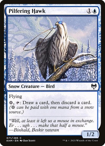 Pilfering Hawk - Kaldheim