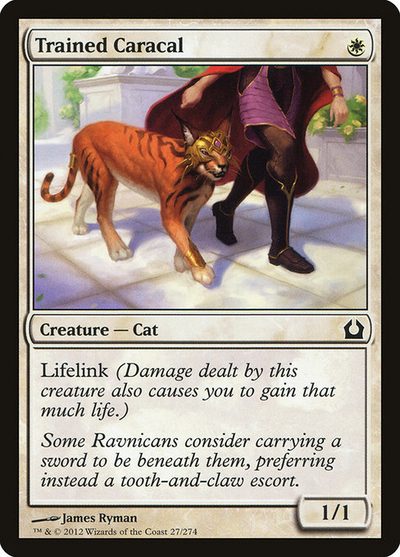 Trained Caracal - Return to Ravnica